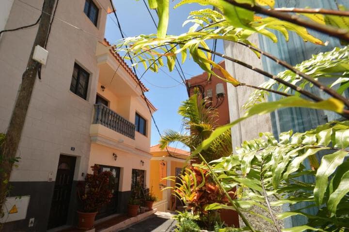 Apartamentos Andrea photo 4