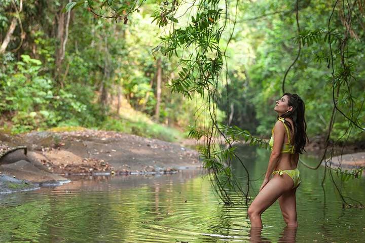 The Canopy Rainforest Treehouses&Wildlife Sanctuary photo 5