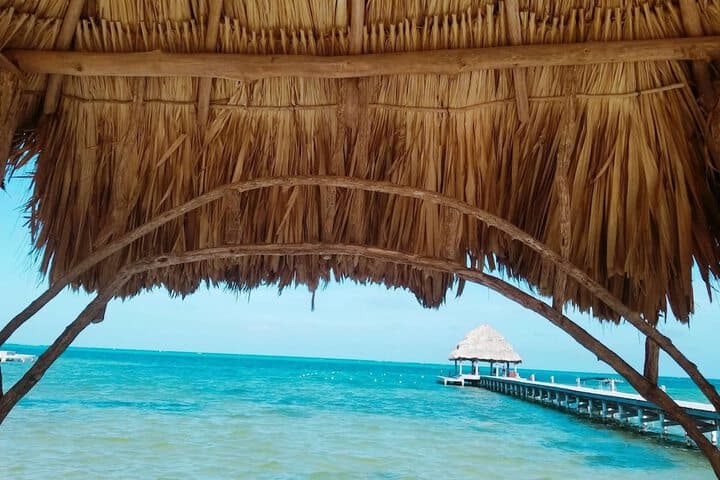 Xanadu Island Resort photo 5