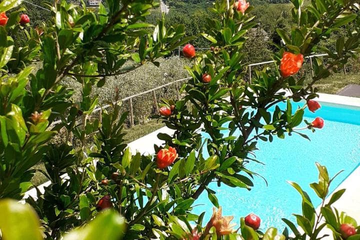 Travel scenery