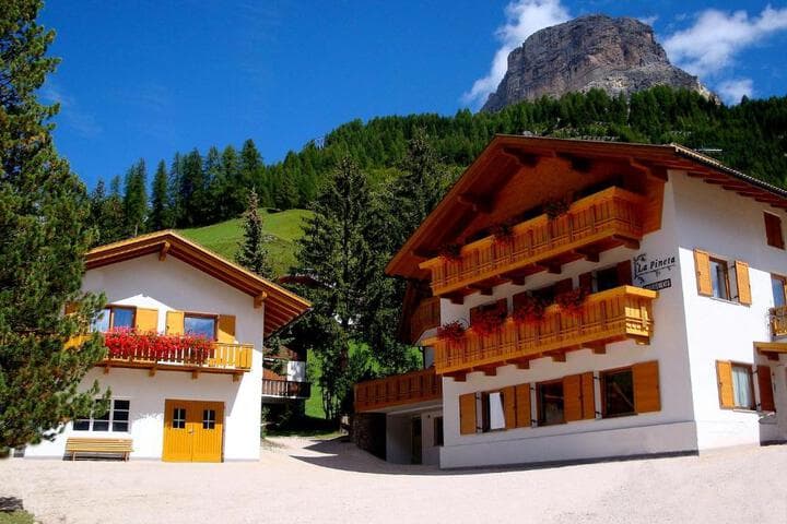 La Pineta photo 3