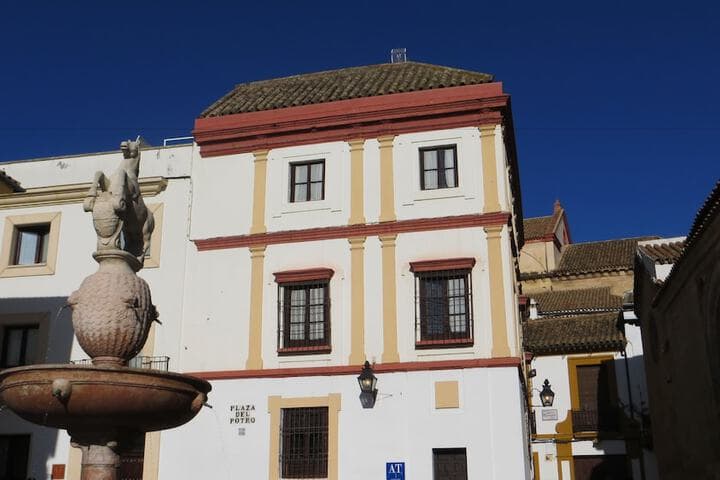 Apartamentos Plaza photo 3