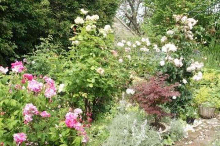 IVY COTTAGE photo 4