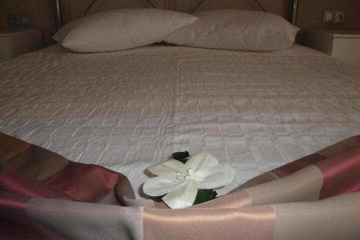 Amaryllis Studios photo 3