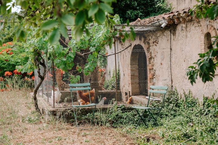 Domaine le Clos du Pavillon photo 4