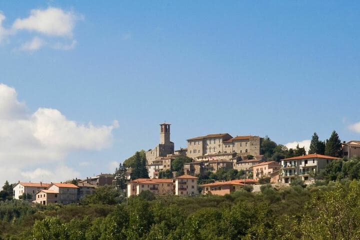 Uccellaia photo 5