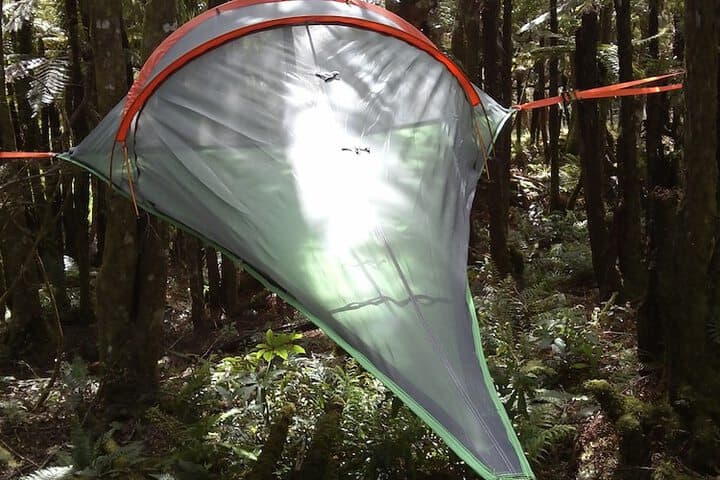 Pupu Rangi Nature Sanctuary Conservation Area photo 4