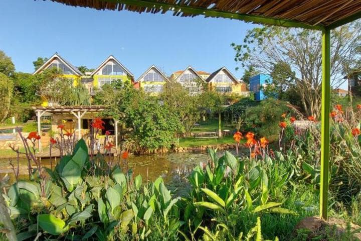 Yellow Haven Lodge photo 3