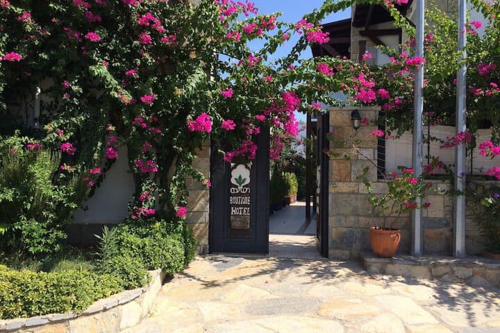 Cotton Boutique Hotel photo 3