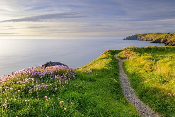 Gwynfryn Guest House Pembrokeshire photo 4