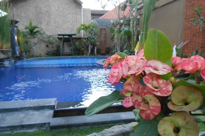 Praschita Bali photo 4