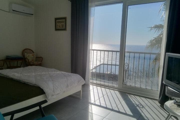 Blue Horizon photo 5