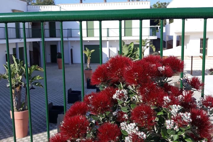 Residence Cala Verde photo 2