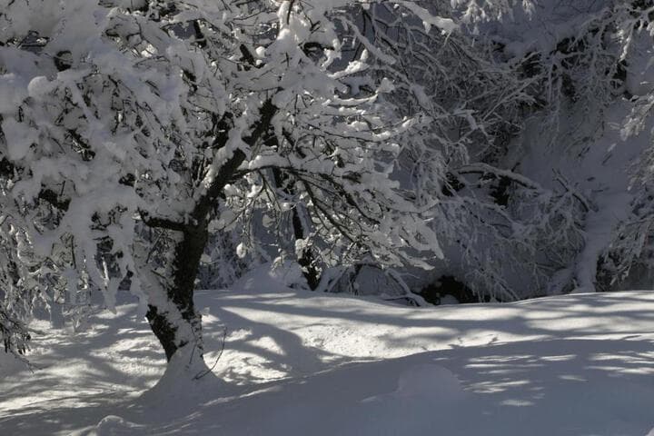 Silenzio e Buio photo 5