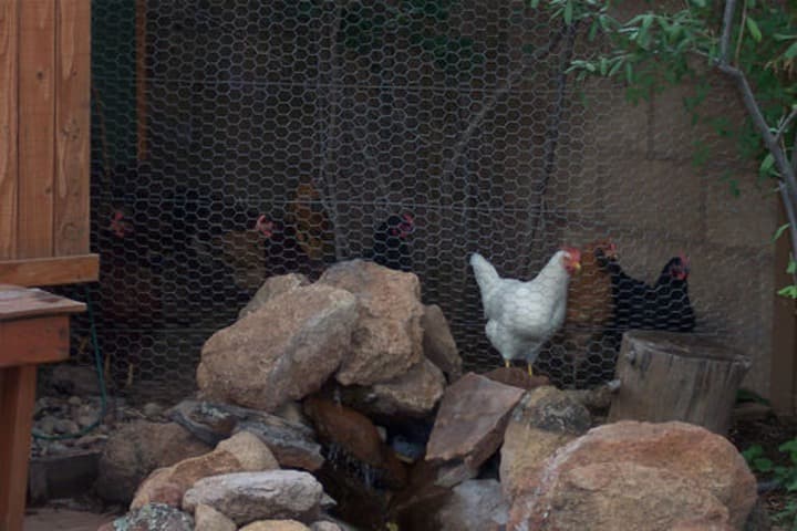 Elden Trails Bed&Breakfast photo 3