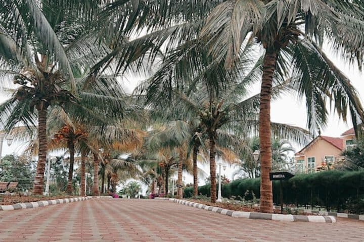 Royal Cliff Zanzibar photo 2