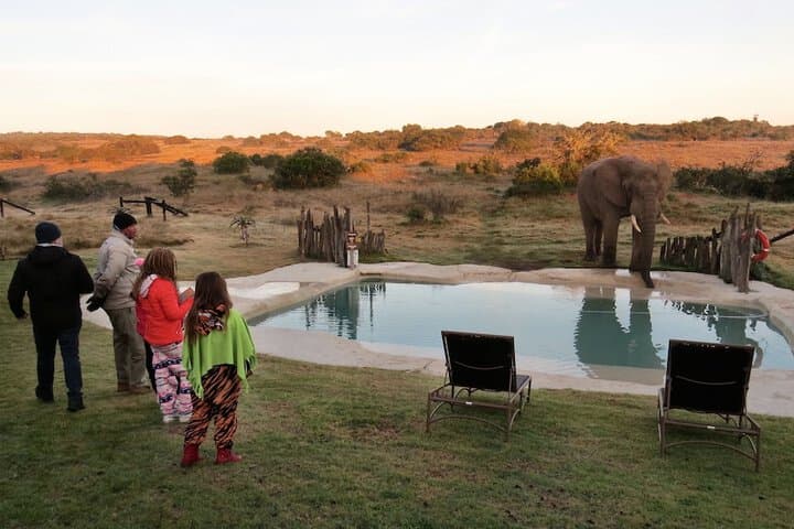 Hlosi Game Lodge Amakhala Game Reserve photo 5