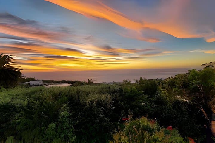 Cape Rose Cottage photo 4