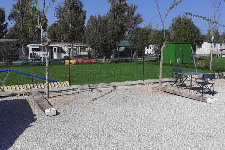 Bungalows Park Albufera photo 3