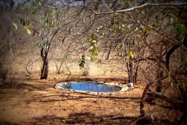 Marloth Kruger Accommodation photo 4