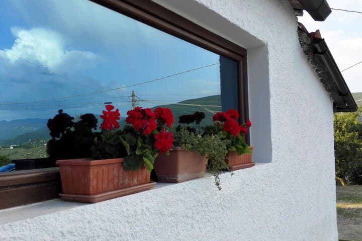 Dal Rosso photo 2