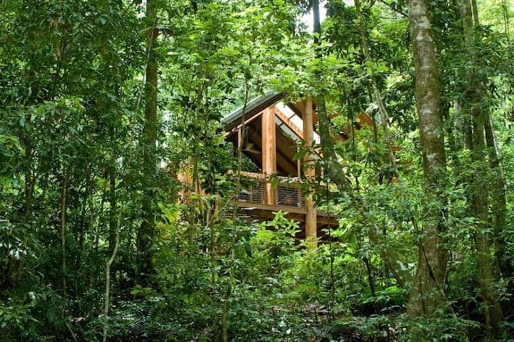The Canopy Rainforest Treehouses&Wildlife Sanctuary photo 2
