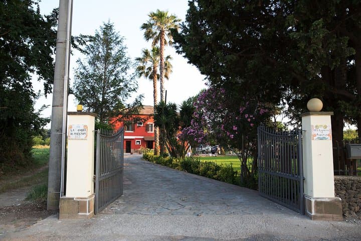 La Chora di Paestum photo 3