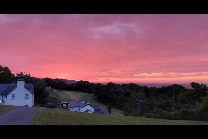 Bryn Goleu Bed&Breakfast photo 2