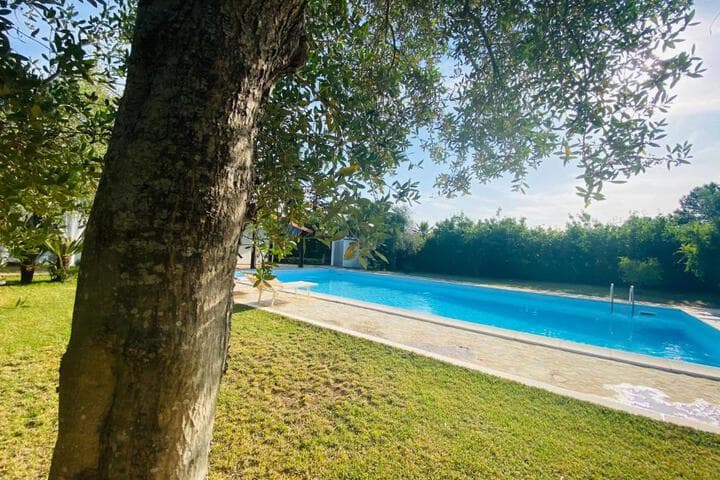 Villa Anita photo 5