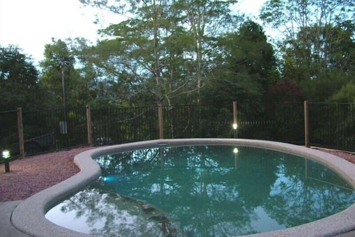 Atherton Blue Gum photo 5
