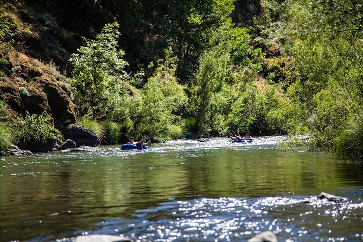Russian River RV Campground photo 3