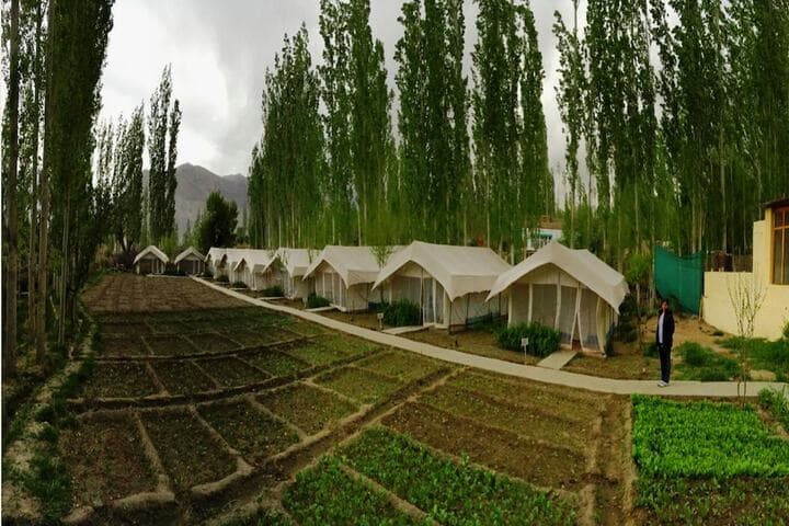Pānāmik destination view