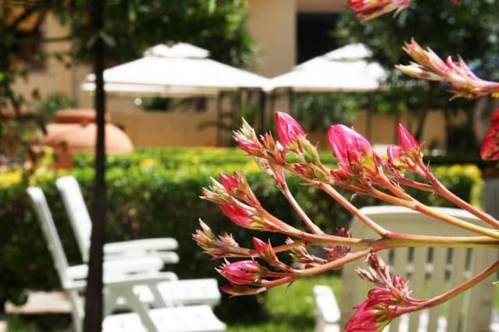 Solemare b&b Apartments Alghero photo 2