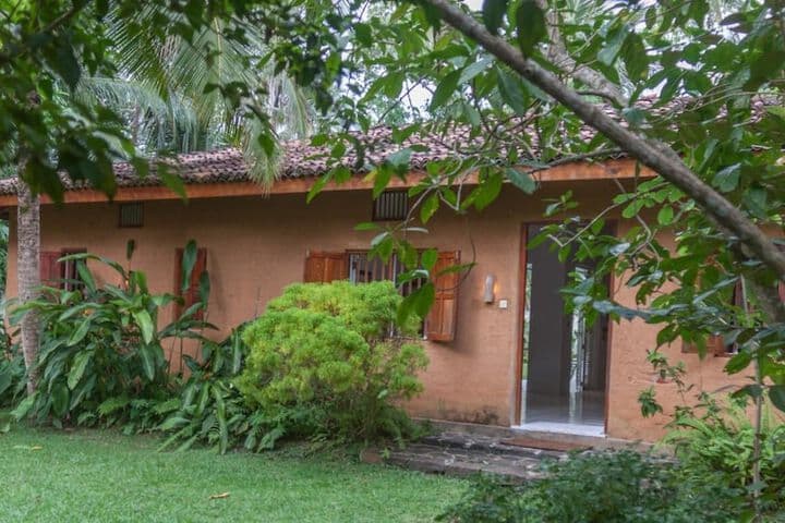 Bungalow Sud photo 3