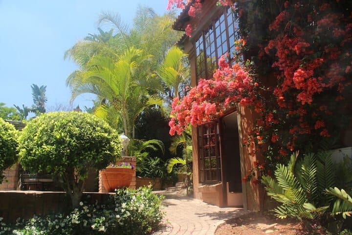 Terra Casa photo 2