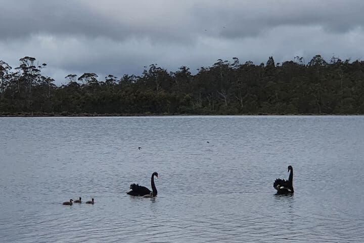 Lake Yalleena Nature Retreat photo 2