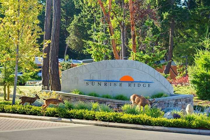 Sunrise Ridge Waterfront Resort photo 2