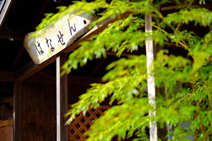 Hanasen photo 2