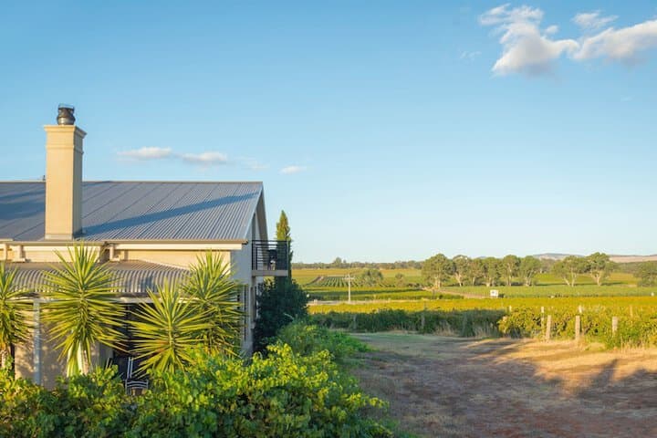 Barossa Shiraz Estate photo 3