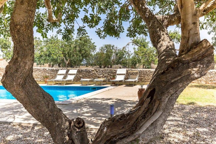 La Muraglia photo 4