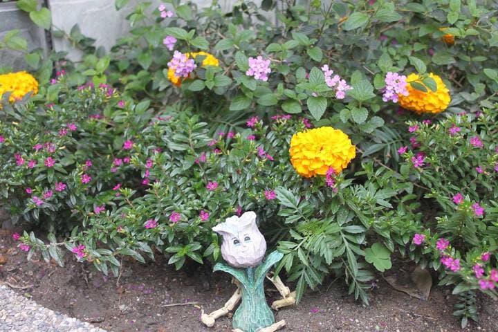 Hualien Tour B&B photo 2