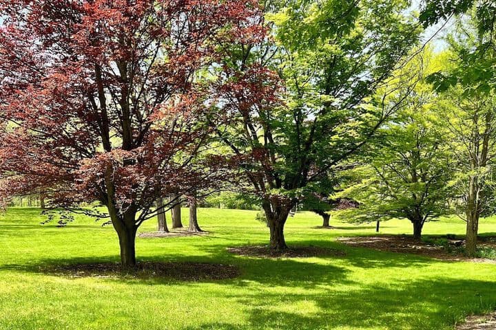 Stratton Creek Inn photo 4
