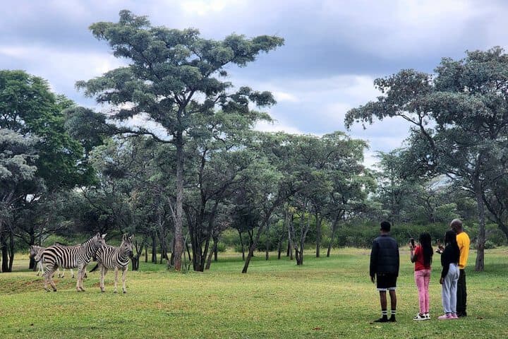 Buyskop Lodge photo 2