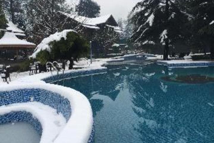 Apple Valley Resort photo 4
