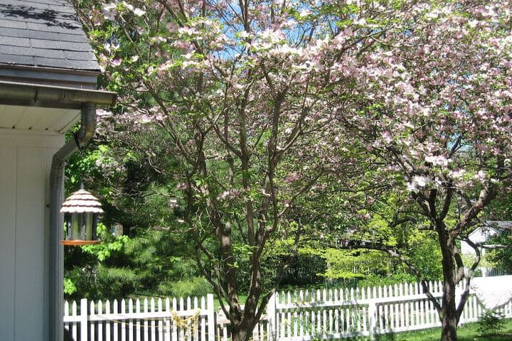 Beautiful Valley Guesthouse photo 3