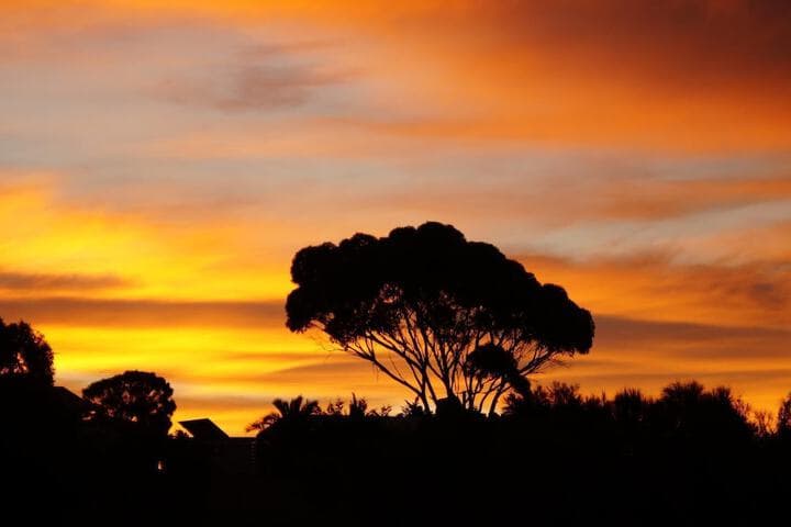 Lindsays of Kangaroo Island photo 2