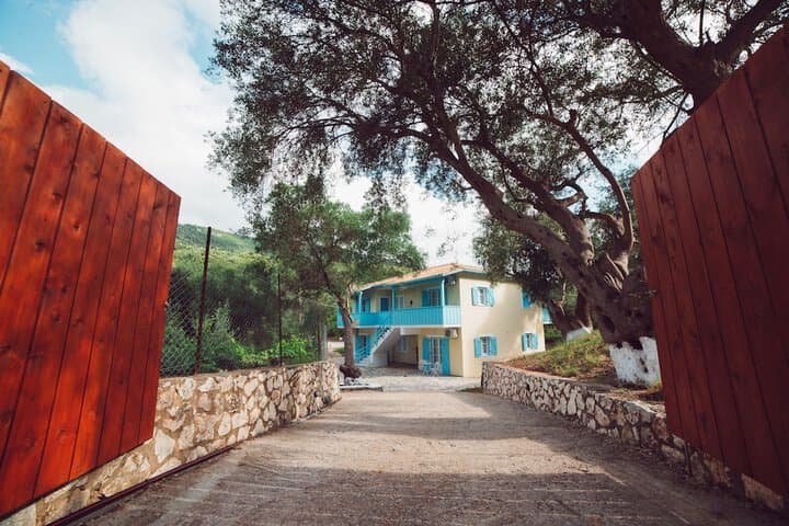 Nerina Studios photo 2
