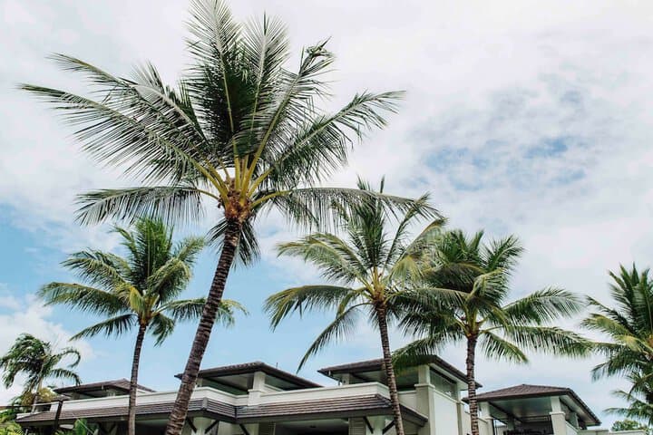 Pullman Port Douglas Sea Temple Resort&Spa photo 2