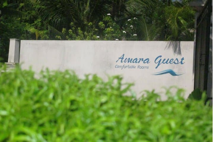 Amara Guest photo 3