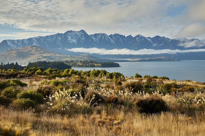 Platinum Queenstown Villas photo 2